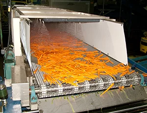 Hydrocooling Carrots