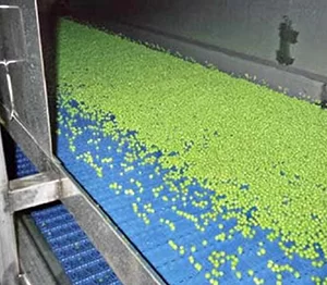 Hydrocooling Green Peas